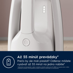 Odkurzacz pionowy Electrolux ES52HB25SH