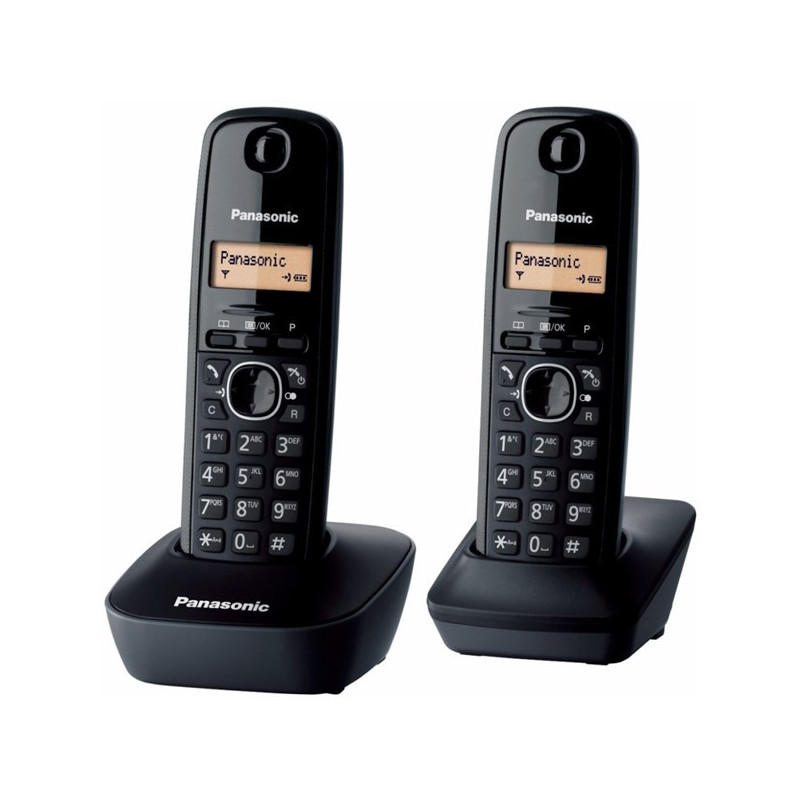 Domácí telefon Panasonic KX-TG1612FXH - šedý