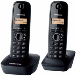 Domácí telefon Panasonic KX-TG1612FXH - šedý