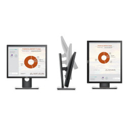 Monitor Dell P1917S