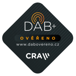 Przenośne radio DAB+ FM GoGEN DAB 300 N, srebrny