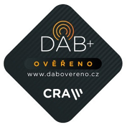 Przenośne radio DAB+ FM GoGEN DAB 300 N, srebrny