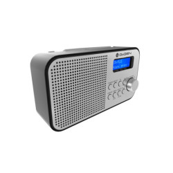 Przenośne radio DAB+ FM GoGEN DAB 300 N, srebrny