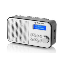 Przenośne radio DAB+ FM GoGEN DAB 300 N, srebrny