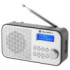 Przenośne radio DAB+ FM GoGEN DAB 300 N, srebrny