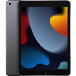 Tablet Apple iPad 10.2 (2021) Wi-Fi 256GB - Space Grey