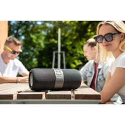 Portable Speaker GoGEN FUNBEE BS 420B