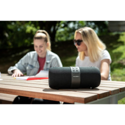 Portable Speaker GoGEN FUNBEE BS 420B