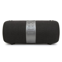 Portable Speaker GoGEN FUNBEE BS 420B