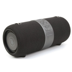 Portable Speaker GoGEN FUNBEE BS 420B