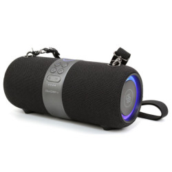 Portable Speaker GoGEN FUNBEE BS 420B