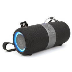 Portable Speaker GoGEN FUNBEE BS 420B