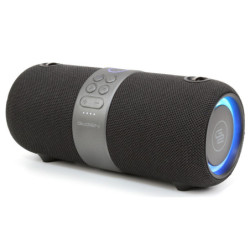 Portable Speaker GoGEN FUNBEE BS 420B