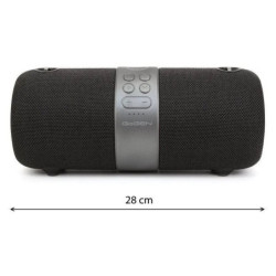 Portable Speaker GoGEN FUNBEE BS 420B