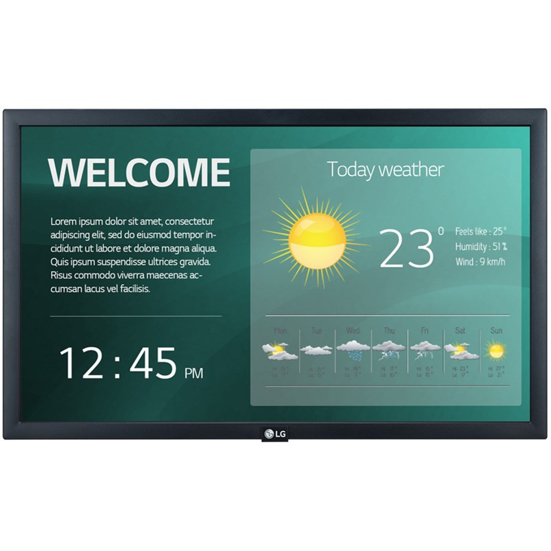 Monitor LG-IT 22SM3G-B