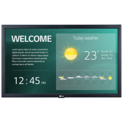 Monitor LG-IT 22SM3G-B