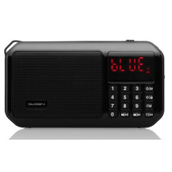 Radio GoGEN FMP 125 BTB