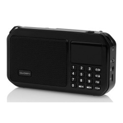 Radio GoGEN FMP 125 BTB