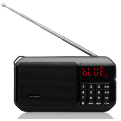 Radio GoGEN FMP 125 BTB