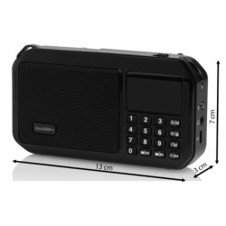 Radio GoGEN FMP 125 BTB