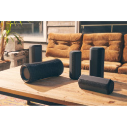 Portable Speaker Sony AV SRS-XG300