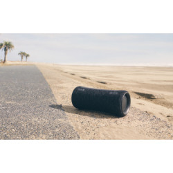 Portable Speaker Sony AV SRS-XG300