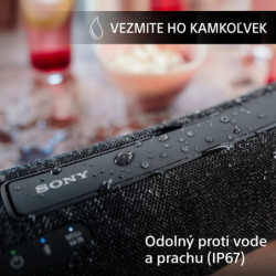 Portable Speaker Sony AV SRS-XG300