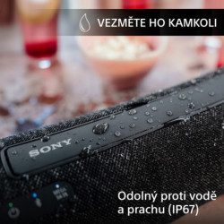 Portable Speaker Sony AV SRS-XG300