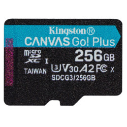 Karta pamięci Kingston MicroSDXC 256GB UHS-I U3 (170R/90W)