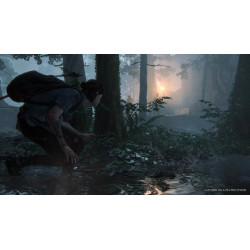 Gry Playstation The Last of Us: Part II