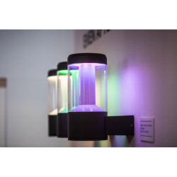 Oprawa ścienna LEDVANCE SMART+ Modern Lantern Multicolor Wall