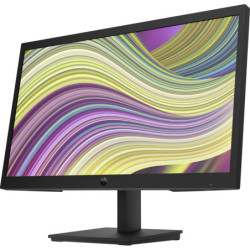 Monitor Hewlett Packard P22v G5