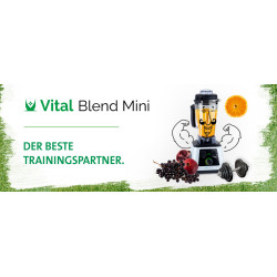 Mikser stołowy ETA 2100 90000 Vital Blend Mini