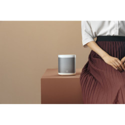 Głośnik Xiaomi Mi Smart Speaker