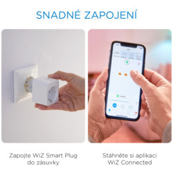 Gniazdko Smart Plug WiZ Smart Plug CZ/SK 