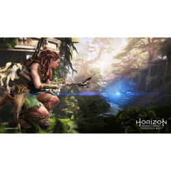 Gry Playstation PlayStation 4 Horizon Forbidden West