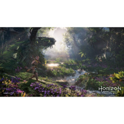 Gry Playstation PlayStation 4 Horizon Forbidden West