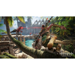 Gry Playstation PlayStation 4 Horizon Forbidden West