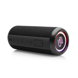 Portable Speaker GoGEN DANCEE BS 350B