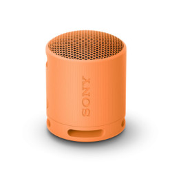 Portable Speaker Sony AV SRS-XB100