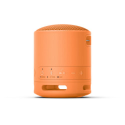 Portable Speaker Sony AV SRS-XB100