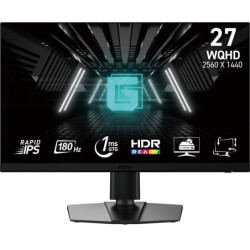 Monitor MSI G272QPF E2