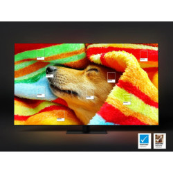 Televize Samsung QE55Q60D