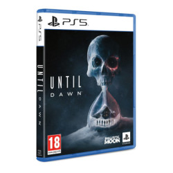 Gry Playstation PlayStation 5 Until Dawn