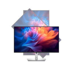 Monitor Dell Professional P2725HE